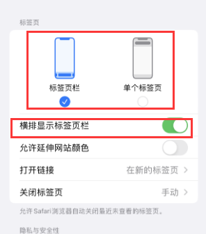 定南iPhone授权维修分享Safari浏览器如何切换标签栏位置 